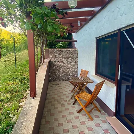 Gemuetliche Wohnung Mit Neckarblick Eberbach  Exterior photo